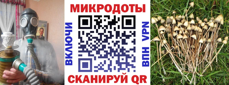 Псилоцибиновые грибы MAGIC MUSHROOMS Осташков